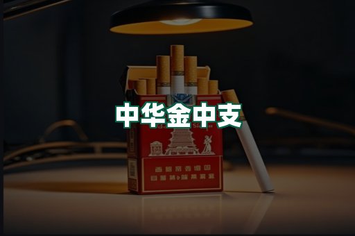 中华金中支